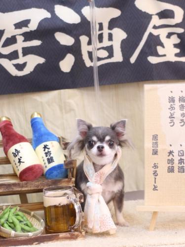 20240607ブルーちゃん